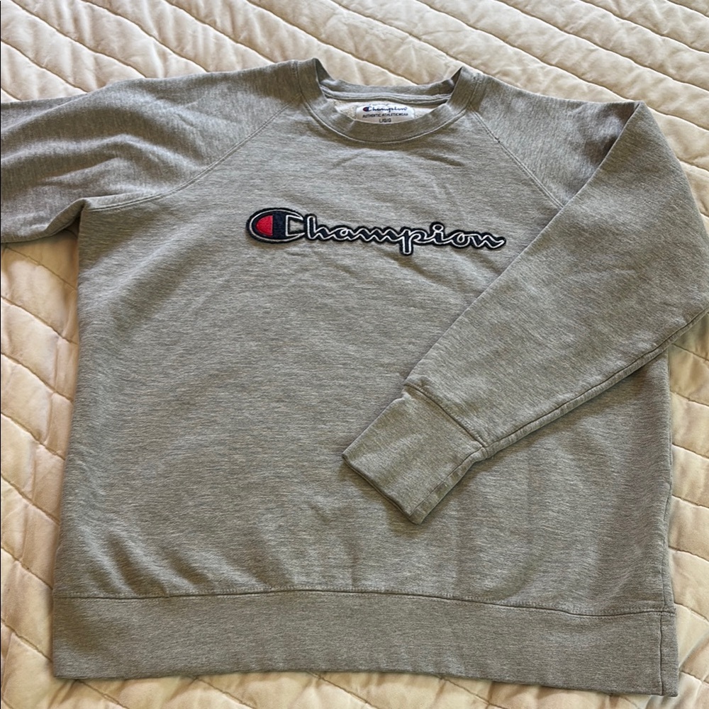 Champion Men's Crewneck Sweater in Gray